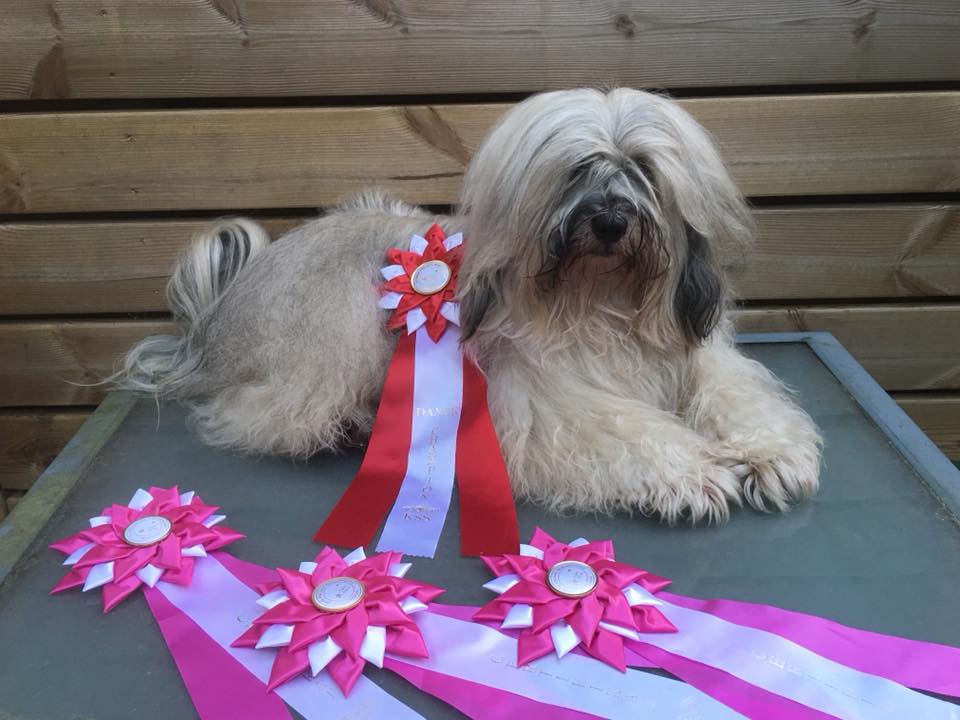 Ebbe nybliven dansk champion den 3 juni 2018.