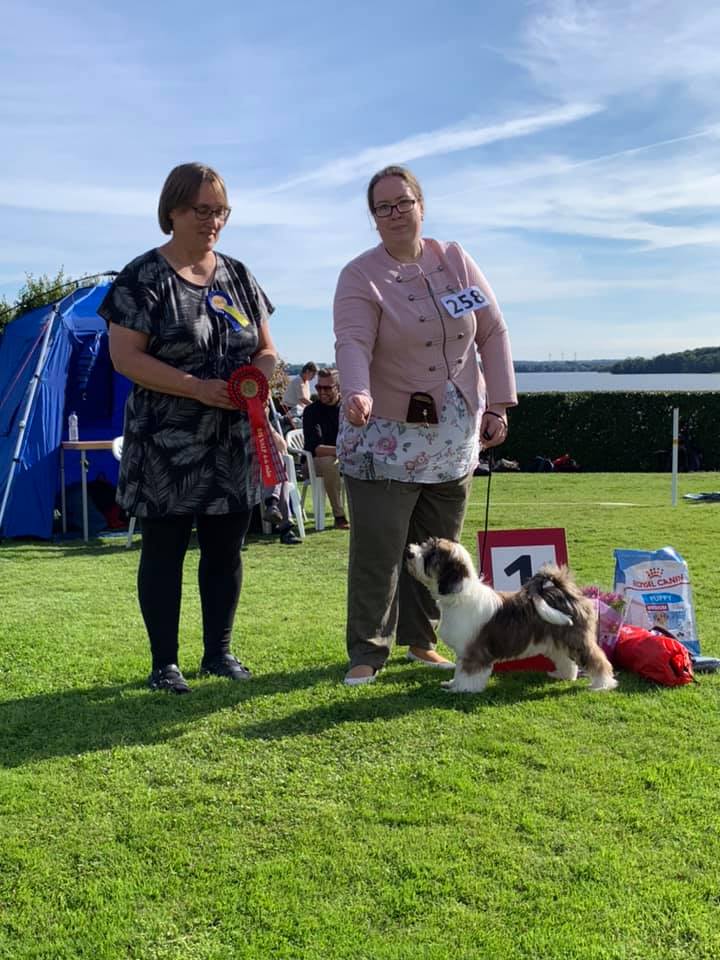 Dantes utställningsdebut och BIS-valp den 5 september 2021.